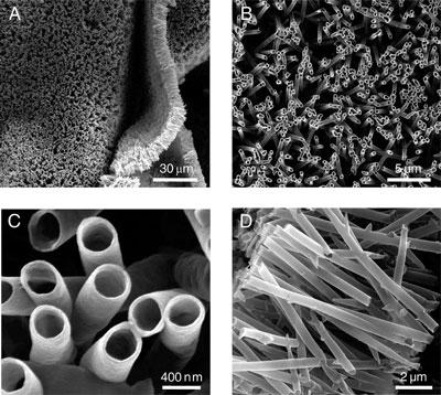 HSA nanocsövek Humán Szérum Albuminból (HSA) nanoporózus polikarbonát