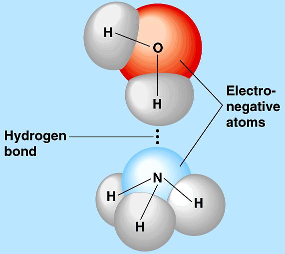Elektrosztatikus kölcsönhatás A Coulomb kölcsönhatás energiájának távolságfüggése: q Q E = 4 π ε * ε + r Hidrogénkötés Nagy elektronegativitású atomhoz