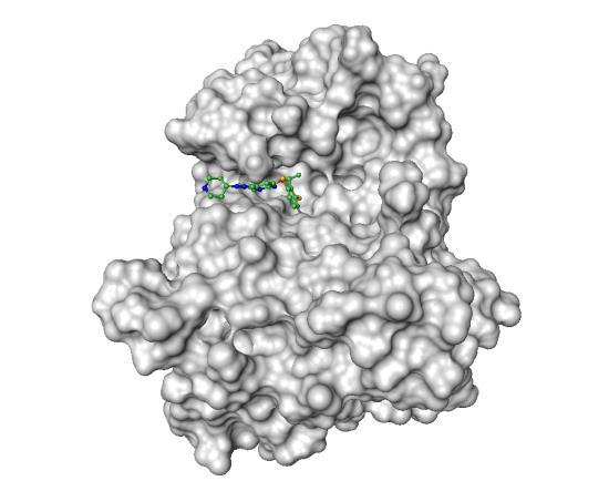 Crizotinib (PF-02341066) Alk és c-met gátló, mely