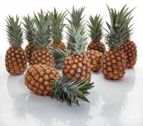 (598 /) 64 NATURFOOD