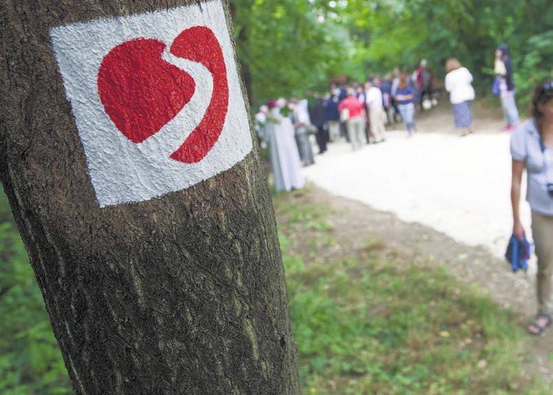 2015. augusztus 6. www.lokal.hu 11 Problémája van? Érdekes a szomszédja vagy hallott egy különös történetet? Lencsevégre kapott egy jellemző kerületi épületet?