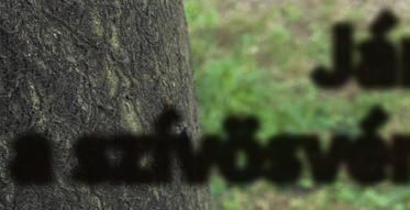 II. kerület ADYLIGET BUDAKESZIERDŐ BUDALIGET CSATÁRKA ERZSÉBETLIGET ERZSÉBETTELEK FELHÉVÍZ GERCSE HÁRSAKALJA HÁRSHEGY HŰVÖSVÖLGY KŐVÁR KURUCLES LIPÓTMEZŐ
