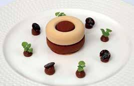 TIRAMISU OPERA CAKE OPERA
