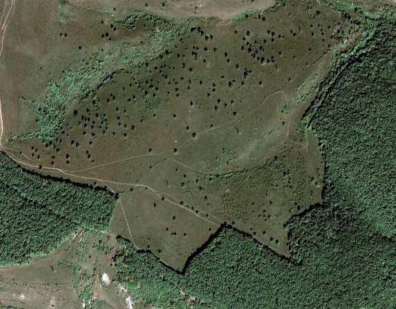 Módszerek: A kísérlet kivitelezése két területen történt, 2008-2009