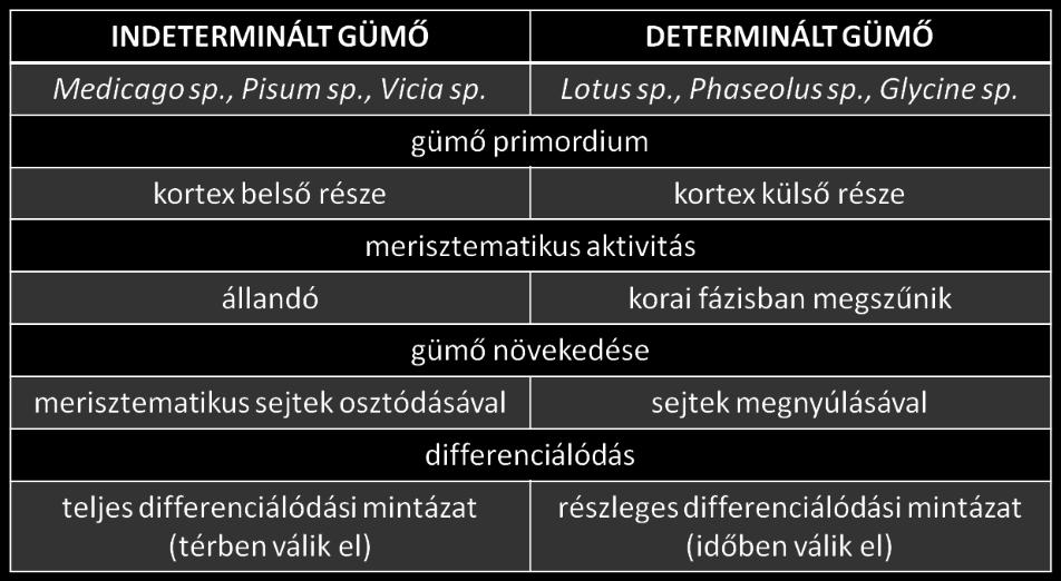 Irodalmi áttekintés membránnal körülvett új organellum-szerű képletet, az ún. szimbioszómát hozzák létre (Sprent 2007). 1.