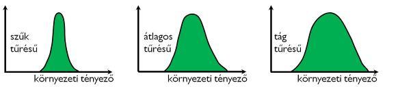 illetve megemeli a levél hőmérsékletét, így fokozza a párologtatás intenzitását is, ami kiszáradáshoz vezethet.