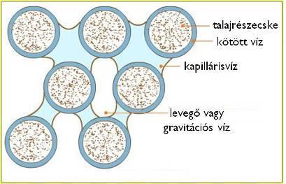 3. a talajrészecskék közötti levegő 4. további szerves anyag összetevők és felhalmozódó humuszanyagok 19.