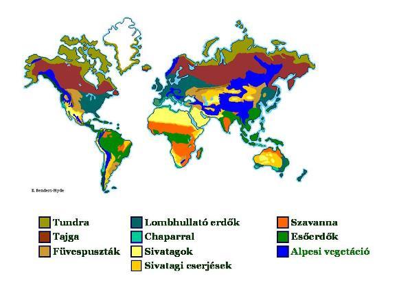1. Ábra: A Föld fontosabb biomjai http://www.blueplanetbiomes.org/world_biomes.