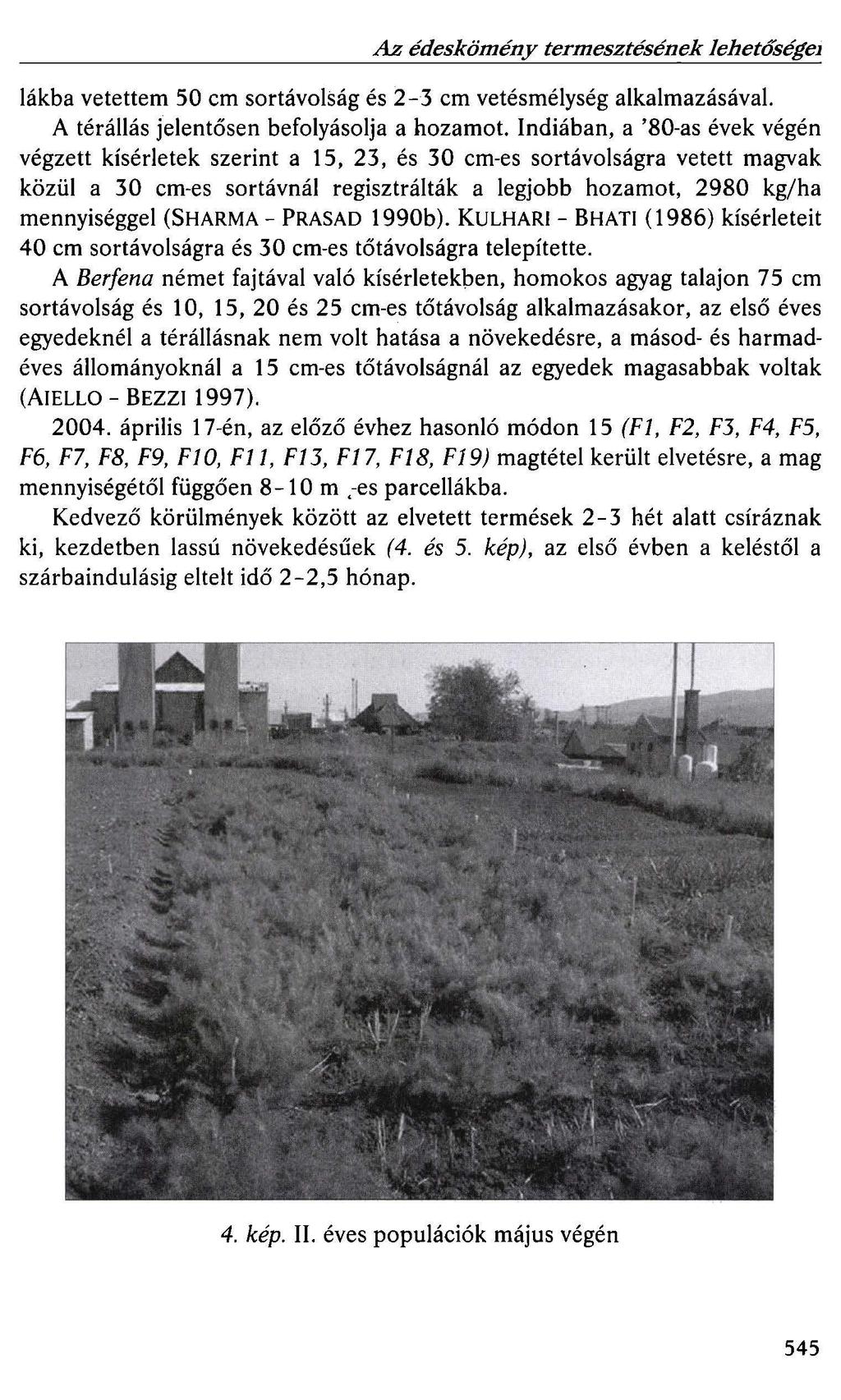 Az édeskömény termesztésének lehetőségei lákba vetettem 50 cm sortávolság és 2-3 cm vetésmélység alkalmazásával. A térállás jelentősen befolyásolja a hozamot.