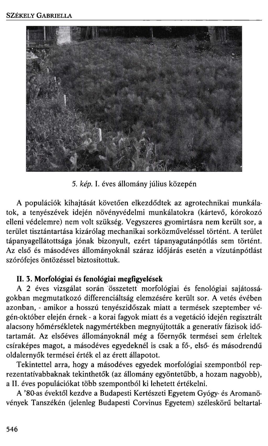 SZÉKELY GABRIELLA 5. kép. 1.
