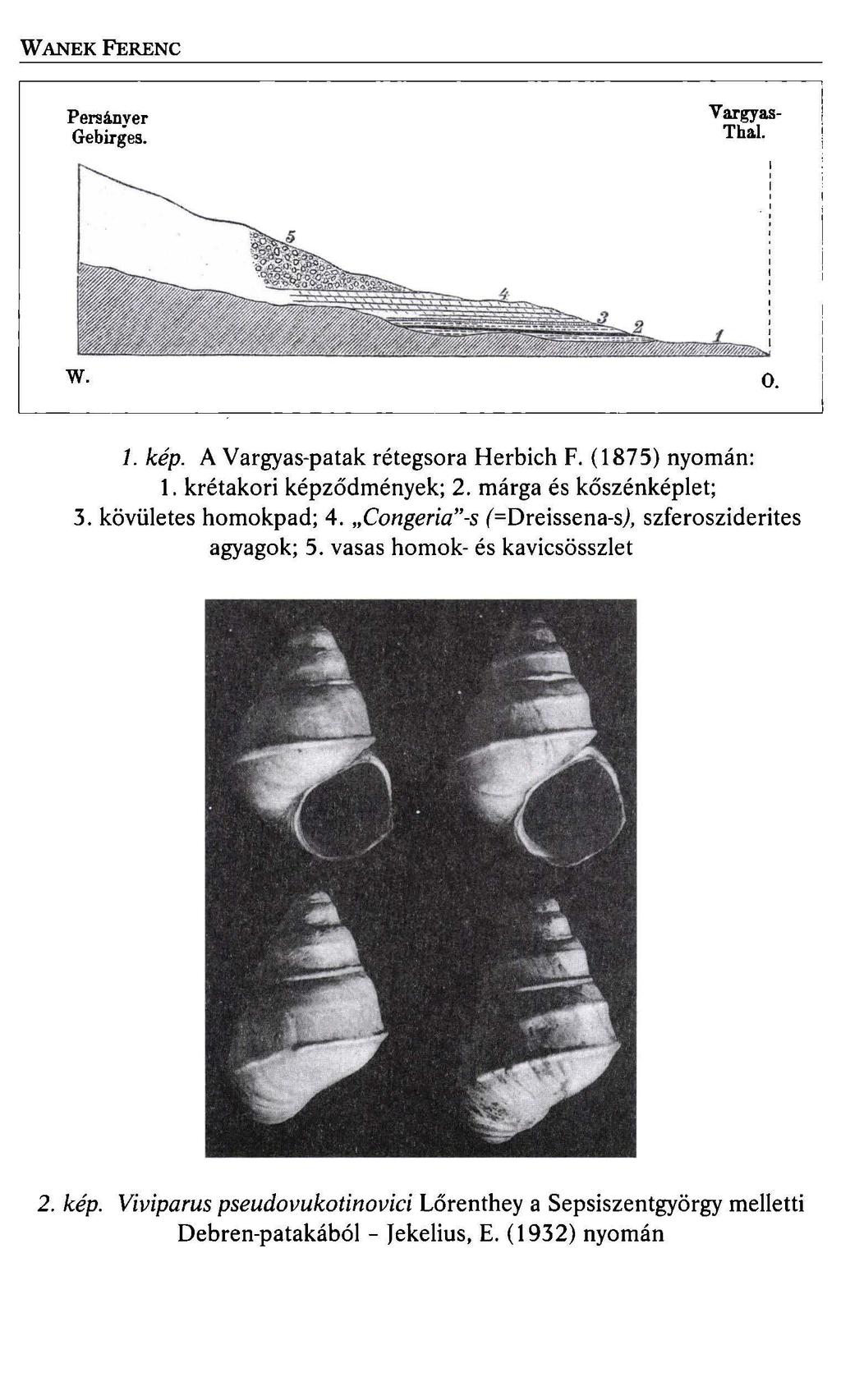 W ANEK FERENC Persánver Gebirges. Vargyas Tha.l. w. 0. 1. kép. A Vargyas-patak rétegsora Herbich F. (1875) nyomán: 1. krétakori képződmények; 2. márga és kőszénképlet; 3. kövületes homokpad; 4.