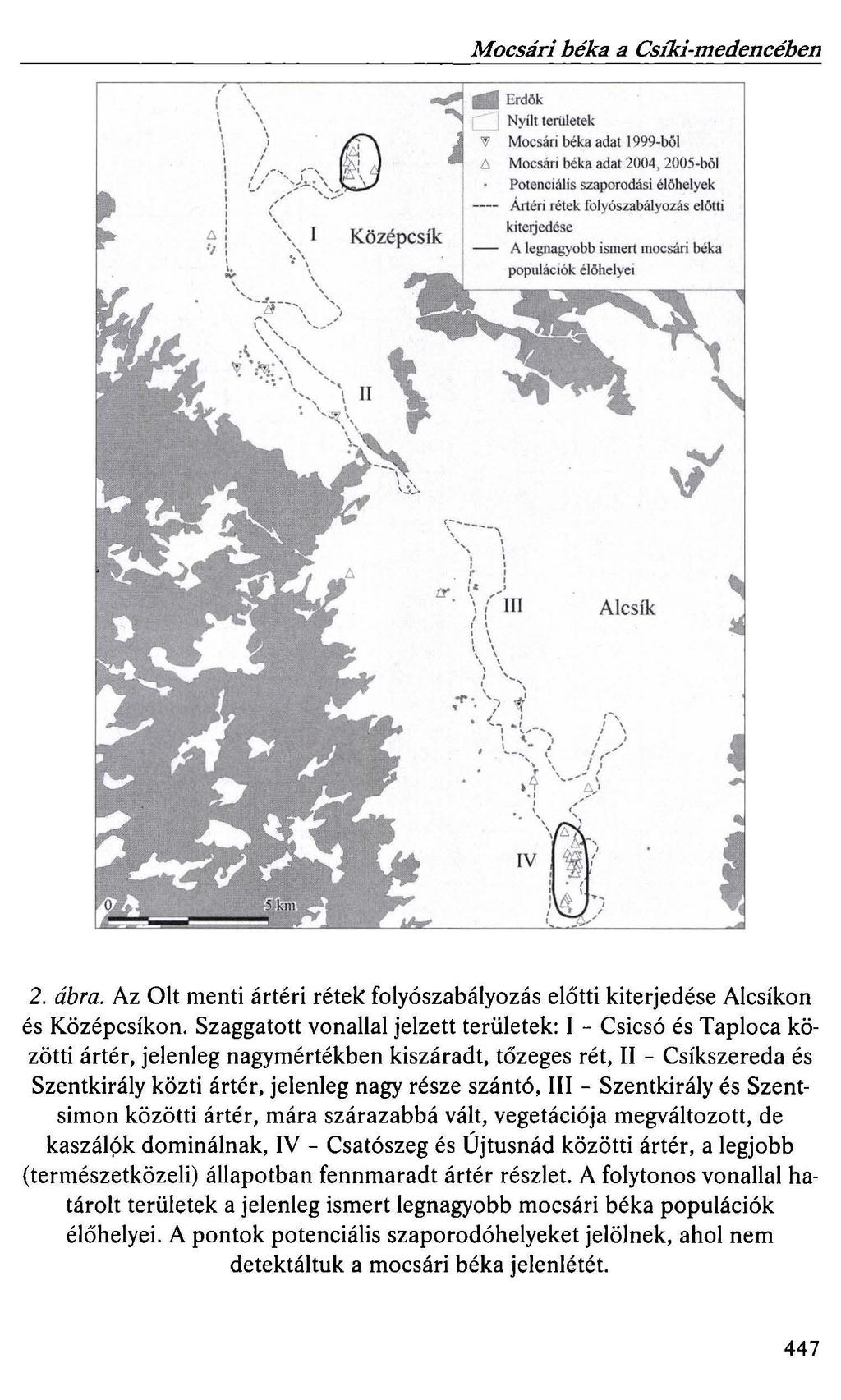 Mocsári béka a Csiki-medencében t:, Nyílt területek Mocsári béka adat 1 999 - bő l Mocsári béka adat 2004, 2005-böl Potenciális szaporodási é l őh e l yek ---- Ártéri rétek folyószabályozás el őtti