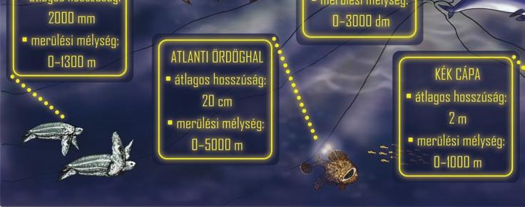 Egy-egy nagyobb fejezet végén próbára teheted tudásodat a munkafüzetben található feladatsorok segítségével.