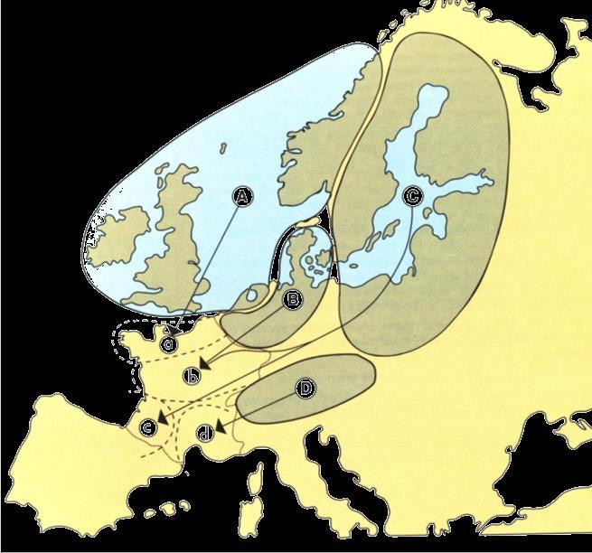 teljesen öröklődik a mozgáskörzetnél nagyságrenddel nagyobb