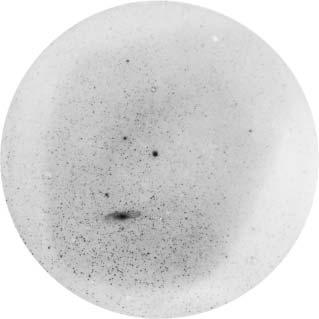 Az üstökösök megismerésének mérföldkövei 257 9. ábra. Gothard Jenõ felvétele a Holmes-üstökös 1892-es szuperkitörésekor készült a Szombathely mellett lévõ obszervatóriumában, Herényben.