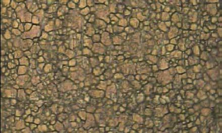 Paraméterek Átlag Szórás Terjedelem Szórási együttható (µm) (µm) (µm) (%) 0,01 A/mm 2 és 60 s 1,50 0,06 0,12 4,03 0,01 A/mm 2 és 90 s 1,41 0,06 0,11 3,94 0,01 A/mm 2 és 120 s 0,93 0,04 0,08 4,41 1.