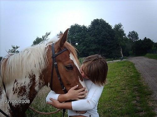 MRSA előfordulása lovakban MRSA hordozás növekedése Kanada és USA 5.3% állatkórházakban, 4.7% farmokon Leggyakrabban ST8 /t008 fordul elő (J.S. Weese et al, EID (2005) 11: 430-435) Belgium Egy ló-klinikán 10.