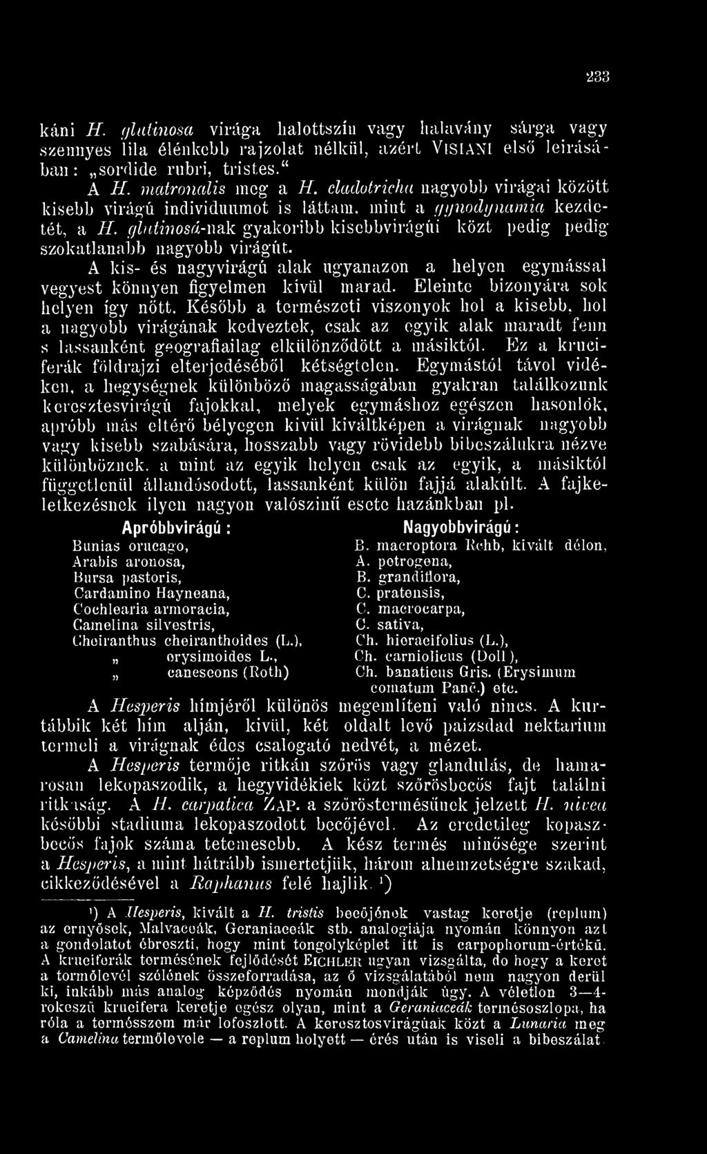 cladotricha nagyobb virágai között kisebb virágú individuumot is láttam, mint a gynodynamia kezdetét, a H. f/lutinosá-nak gyakoribb kisebbvirágúi közt pedig pedig szokatlanabb nagyobb virágút.