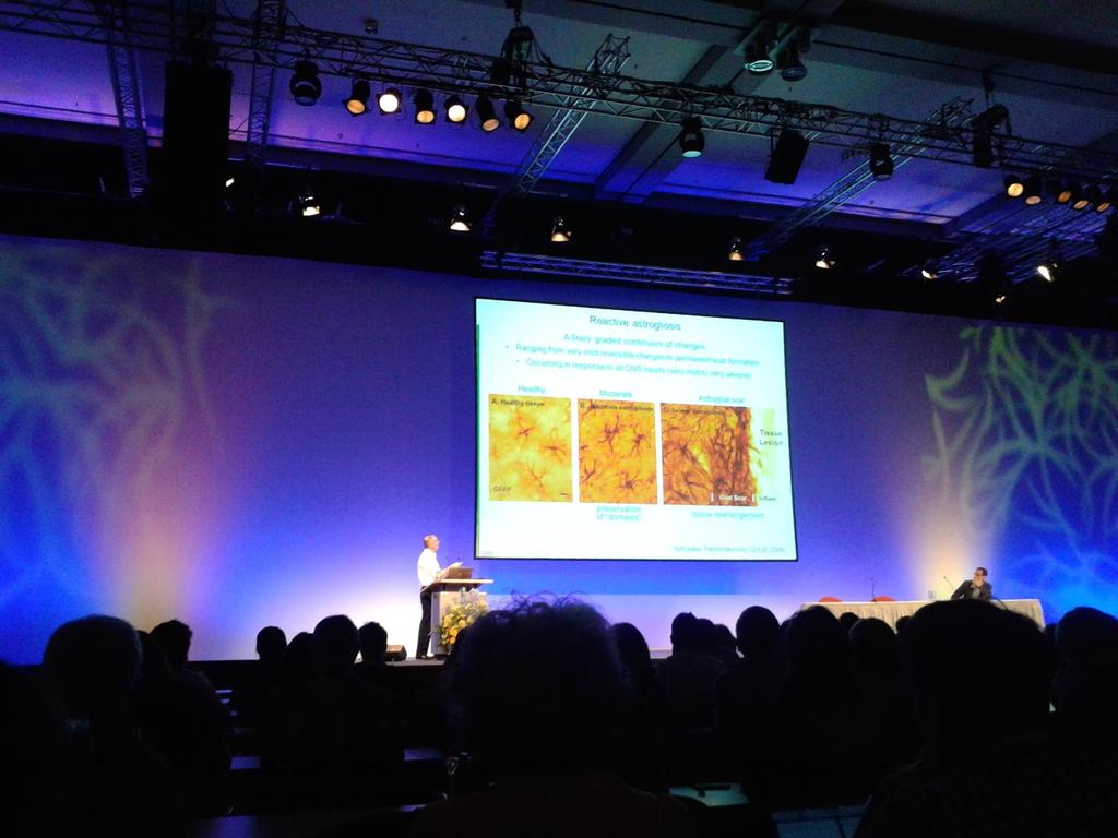 EuroGlia Astrocyte roles in CNS disorders Michael V.
