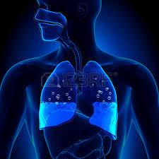 Tüdő ödéma A balszívfél keringési elégtelenségének súlyosbodása következtében kialakult életveszélyes állapot.