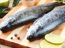 ömlesztett Kecsege 10% 300 g 10 kg Új Csuka filé 20% glaz.