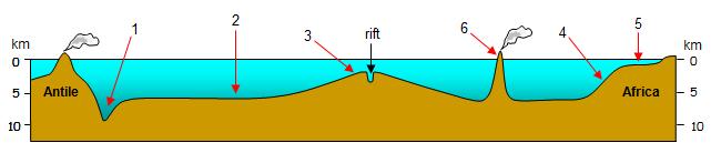 III Tétel (22 pont) A következő vázlatos rajz az óceánfenék domborzatát ábrázolja. Elemezd a rajzot és írd a versenylapra a lenti kérdésekre adott helyes válaszokat: a.