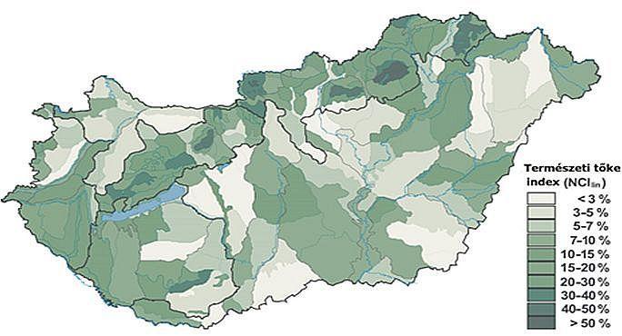 állapotú élőhelyek kiterjedése az Alföldön és középhegységi erdeinkben a legnagyobb, és a legjobb minőségű élőhelyek is itt találhatók (CZÚCZ et al. 2008) (4. ábra).