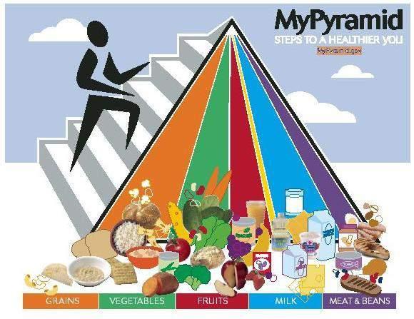 http://www.mypyramid.