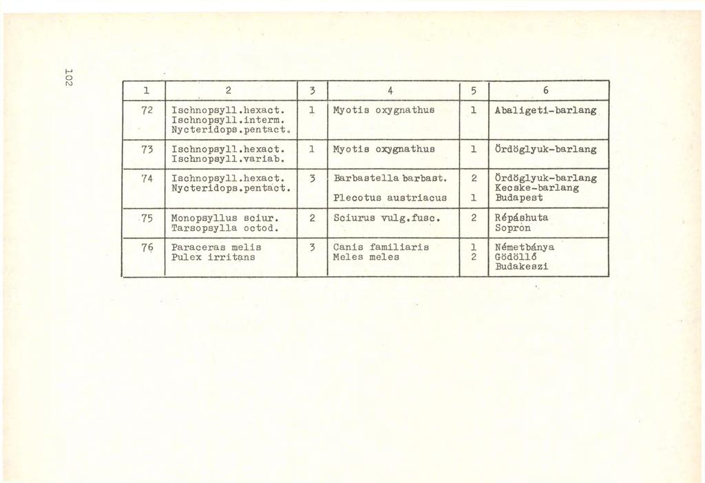 2 3 4 5 6 72 Ischnopsyll.hexact Ischnopsyll.interm. Nycteridops.pentact«73 Ischnopsyll.hexact. Ischnopsyll.variah.