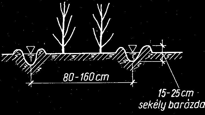 A felületi öntözési módok közül a sávos csörgedeztető, a barázdás és az árasztásos módszerekkel foglakozunk. 17-12. ábra.