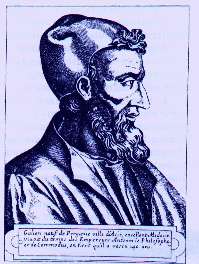 Galenosz (131-202) volt az első, aki a diólevél gyógynövénykénti használatát részletesen leírta (balra).