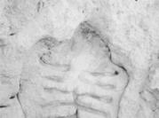 care pot fi încă văzute în muzee sau chiar în mijlocul naturii, acolo unde au fost create, sunt mărturia unei traiectorii postmoderne, în care accentul cade asupra zonelor de ruptură şi de