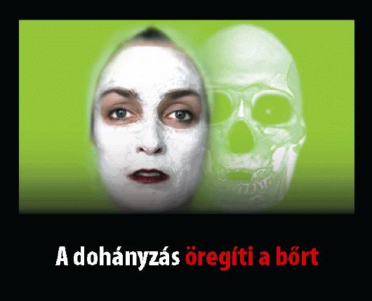 ivarsejteket és