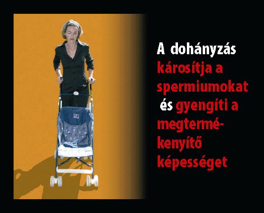 N) A dohányfüst