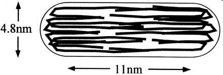 Amyloid-β-protein szál micellaszerű intermedierje (SANS) SANS szórásgörbe: (A) c 0 = 5.0 mg/ml (top data points) and 2.2 mg/ml (bottom data points).