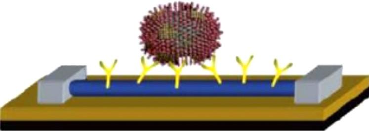 umich.edu/releases/2011/feb11/ nanopore1.jpg). és elôállított oligonukleotid molekulák; továbbá bizonyos szintetikus aminosav-polimerek, az úgynevezett fehérje-aptamerek is ide sorolhatók.