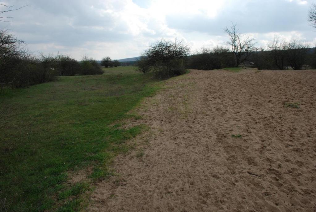 35. ábra: Erdőkertes,