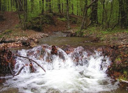 Az Apátkúti patak A patakok vizét a kis vízesések oxigénben gazdagítják A sétautak sokszor vezetnek a hűvös patakvölgyekben.