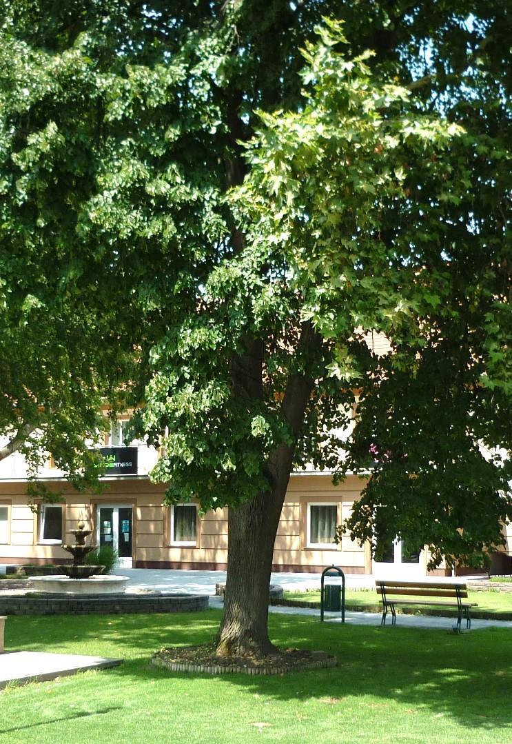 Az 1920-as években a Mendei területek nagy részét gróf Teleki László birtokolta, valamint két nagy földbirtokosi család volt a településen: Baumgarten Ignác és Fülöp Józsiás Szász Coburg Gothai