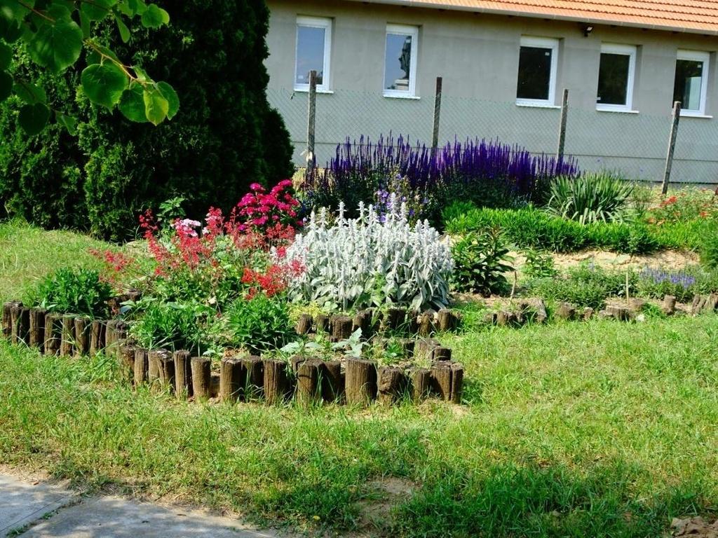 A templom melletti növényegyüttes virágzó