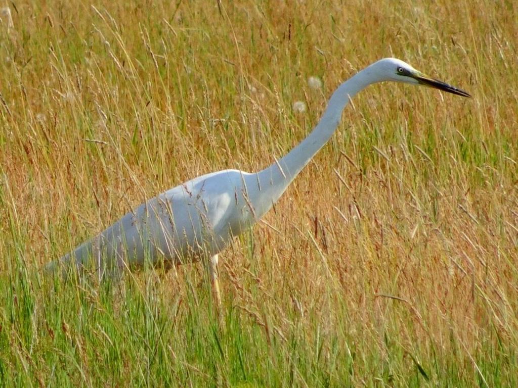 A község az Alföldön, mégpedig a Tisza bal oldali völgyében fekszik. Eredeti talaja mocsaras, lápos volt. A Tisza lecsapolása óta azonban az előbbi közepes minőséggel szemben jó termőtalaj lett.