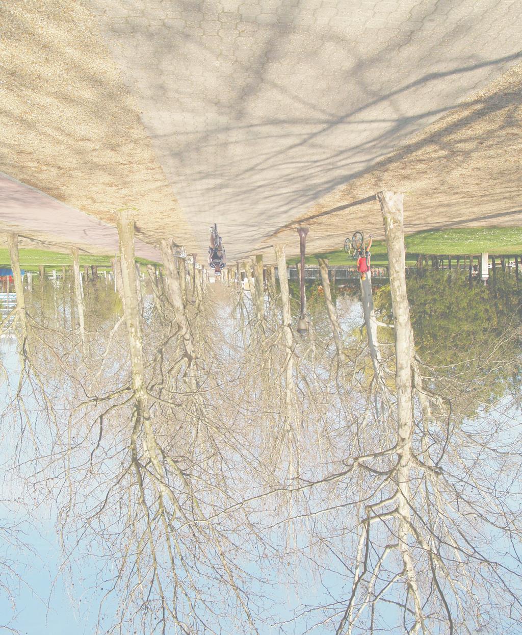 A Balaton sokat adott nekünk. Sokat tettünk azért, hogy adhatott és tennünk kell azért is, hogy a jövőben is adhasson.
