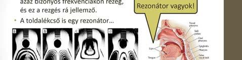 Forrás: valamilyen periodikus (azaz szabályos, tiszta) vagy nem periodikus (azaz zörejszerű, szabálytalan) rezgés.