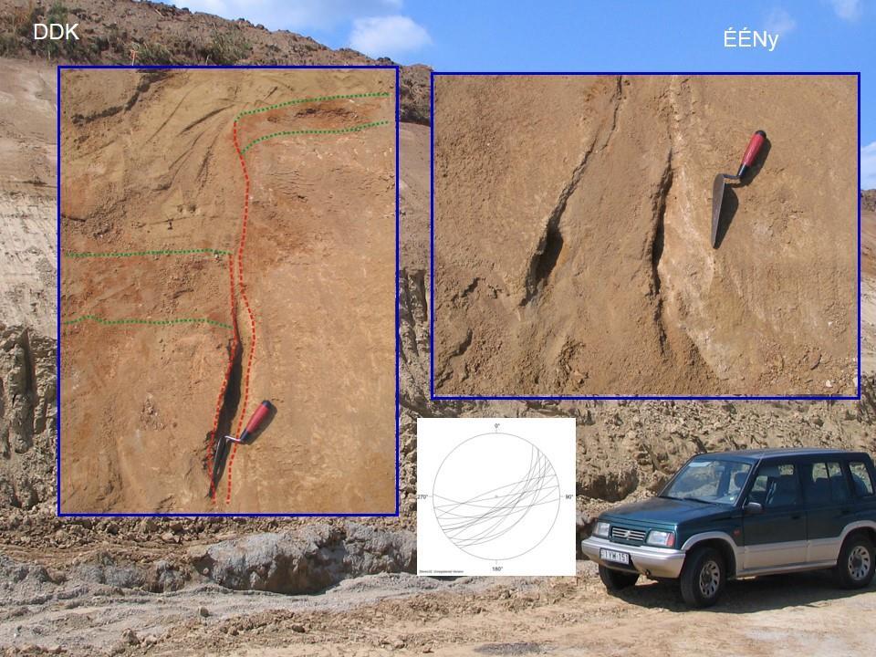 5. ábra ÉK-KÉK DNy-NyDNy-i csapású törések 0,1-0,4 m széles, a löszt közel függőleges, de egyenetlen falakkal átvágó, ÉK-KÉK DNy-NyDNy-i csapású törések.