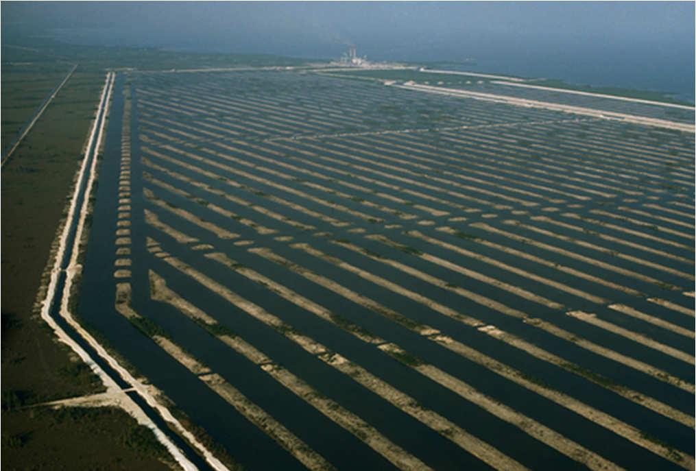 Hűtőcsatornás hűtés Turkey Point Turkey Point atomerőmű, Florida, FPL A telephelyen 2 nyomottvizes blokk