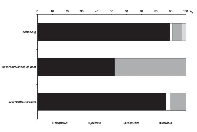 A késő középkori telekviszonyok és a húsfogyasztás Csont Legnagyobb hossz (mm) Számított marmagasság (cm) radius sin. 350,0 144,0 tibia dex. 372,0 146,8 tibia sin. 379,0 149,6 metatarsus III. dex. 290,4 152,3 metatarsus III.