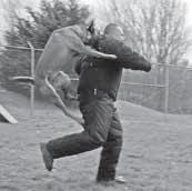 DS 17-04 STRANA - 04 6 4 7 mal by byť označený známkou inej farby a pohybovať sa len veterinár radí Ako zmierniť následky útoku psa 8 6 s náhubkom a na vôdzke.