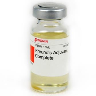 (mieloperoxidáz enzimaktivitás, szövettani