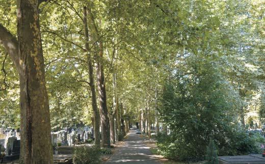 Parkoló és gyalogjárda építése a Hősök