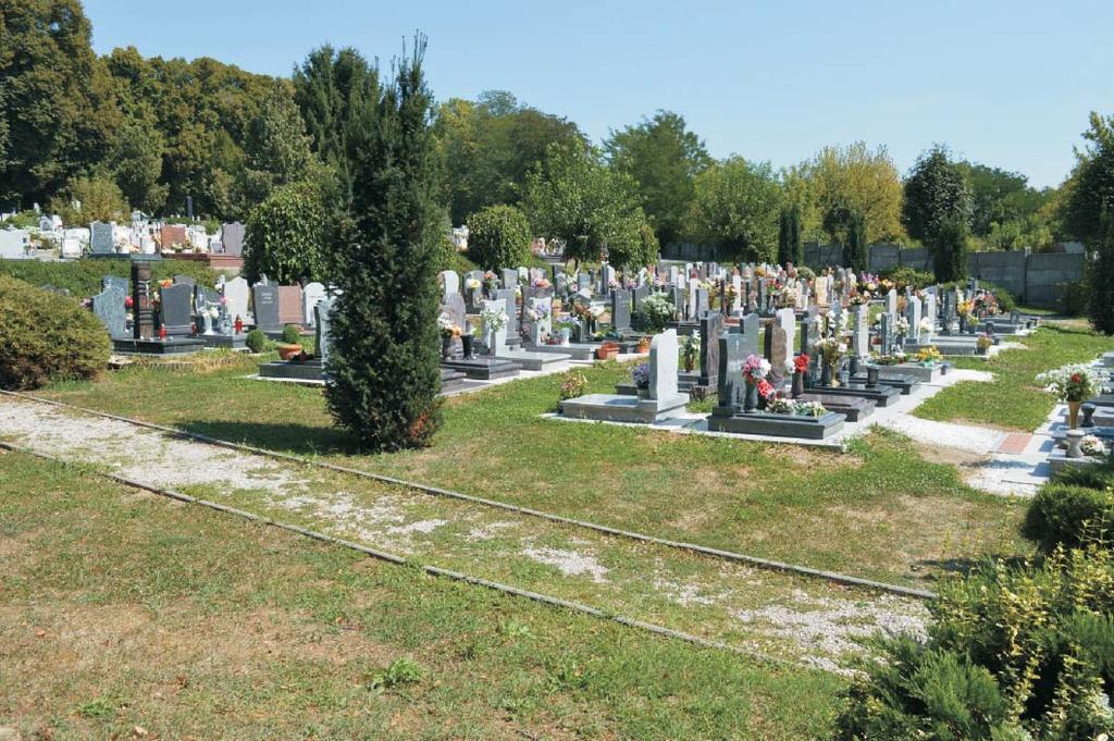Ebben az urnaligetben várhatóan még egy